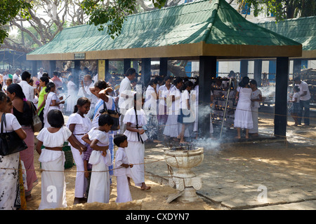 Pèlerins bouddhistes, Sri Maha Bodhi, arbre de bodhi sacré planté en 249 BC UNESCO World Heritage Site, Anuradhapura, Sri Lanka, Asie Banque D'Images