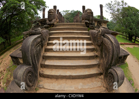 Les étapes d'entrée avec des lions, à la Chambre du Roi Nissankamalla, UNESCO World Heritage Site, Polonnaruwa, Sri Lanka, Asie Banque D'Images