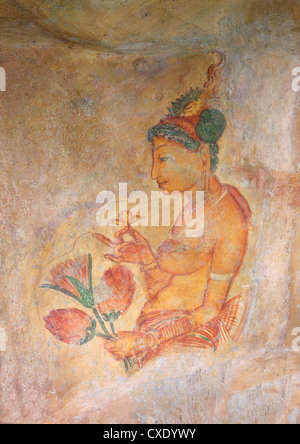 Les demoiselles de Sigiriya ou Cloud Maidens, le Rocher du Lion de Sigiriya, Forteresse UNESCO World Heritage Site, Sigiriya, Sri Lanka, Asie Banque D'Images