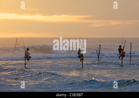 Les pêcheurs sur échasses à Weligama, Côte Sud, Sri Lanka, Asie Banque D'Images