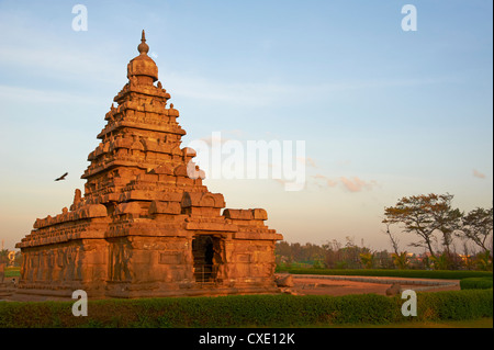 Le Shore Temple, Mamallapuram (Mahabalipuram), UNESCO World Heritage Site, Tamil Nadu, Inde, Asie Banque D'Images
