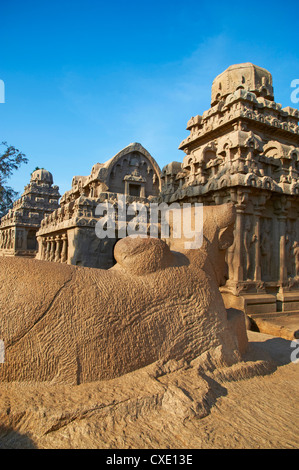Cinq Ratha, Mamallapuram (Mahabalipuram), UNESCO World Heritage Site, Tamil Nadu, Inde, Asie Banque D'Images