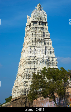 Temple Arunachaleswar, Tiruvannamalai, Tamil Nadu, Inde, Asie Banque D'Images