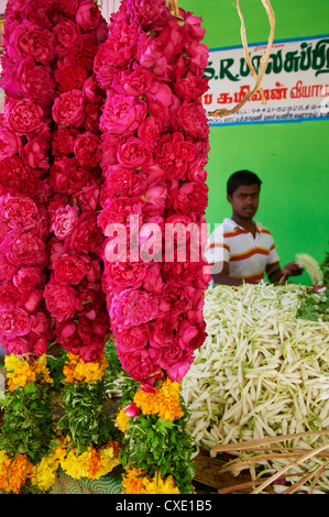Marché aux Fleurs, Madurai, Tamil Nadu, Inde, Asie Banque D'Images