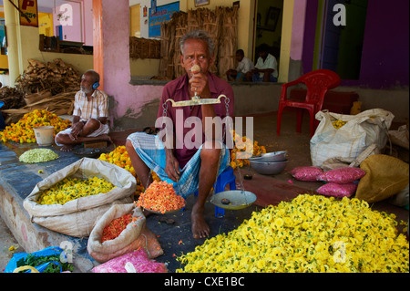 Marché aux Fleurs, Madurai, Tamil Nadu, Inde, Asie Banque D'Images