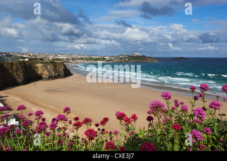 Grande plage ouest, Newquay, Cornwall, Angleterre Banque D'Images