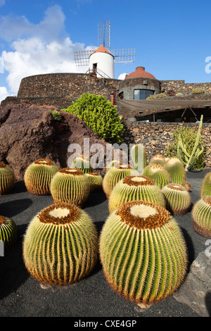 Jardin de cactus (jardin de cactus), San Juan, Lanzarote, îles Canaries, Espagne Banque D'Images