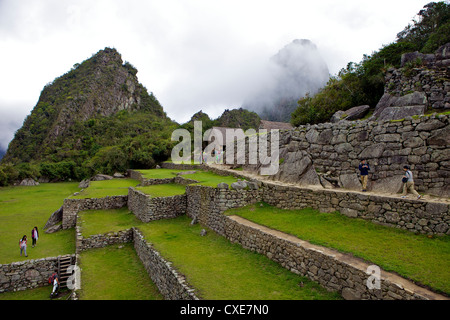 Terrasses agricoles , Machu Picchu, au Pérou, en Amérique du Sud. La ville perdue de l'Inca a été redécouvert par Hiram Bingham en 1911 Banque D'Images