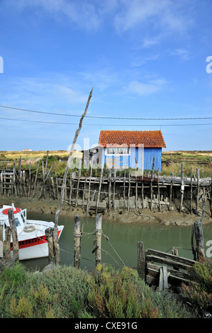 Cabine de bateau et Blue Oyster Farm à la Baudissière près de Dolus / Fouras, Ile d'Oléron, Charente-Maritime, France Banque D'Images