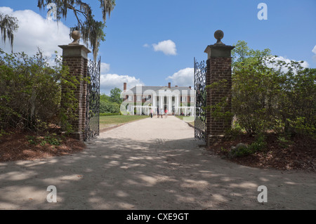 Style Antebellum Boone Hall Plantation près de Charleston, Caroline du Sud est inscrit sur le Registre National des Endroits Historiques. Banque D'Images