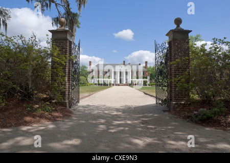 Style Antebellum Boone Hall Plantation près de Charleston, Caroline du Sud est inscrit sur le Registre National des Endroits Historiques. Banque D'Images