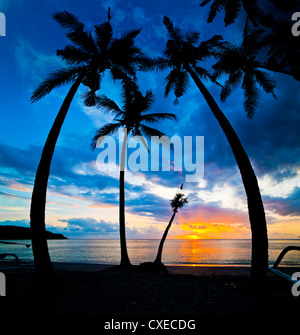 Silhouette de palmiers au coucher du soleil, Nippah Beach, Lombok, Indonésie, Asie du Sud, Asie Banque D'Images