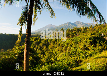 Sommet du Mont Rinjani, un volcan actif sur Lombok, Indonésie, Asie du Sud, Asie Banque D'Images