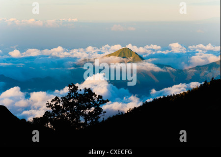 Des pics de montagne s'élève au-dessus des nuages pris depuis le Mont Rinjani volcan, Lombok, Indonésie, Asie du Sud, Asie Banque D'Images