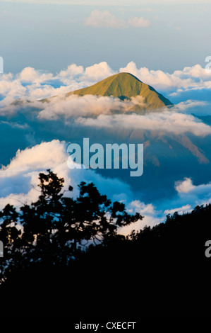 Sommet de la montagne s'élève au-dessus des nuages pris depuis le Mont Rinjani volcan, Lombok, Indonésie, Asie du Sud, Asie Banque D'Images