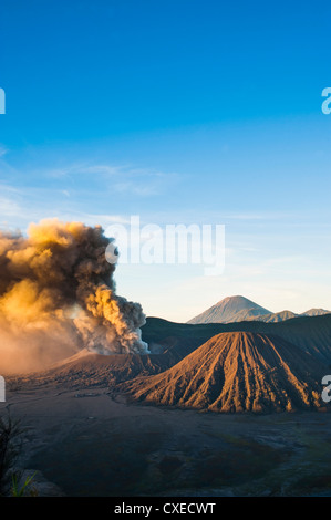 Le Mont Bromo en éruption du volcan au lever du soleil, les cendres volcaniques envoyer haut dans le ciel, à l'Est de Java, en Indonésie, en Asie du Sud-Est, l'Asie Banque D'Images