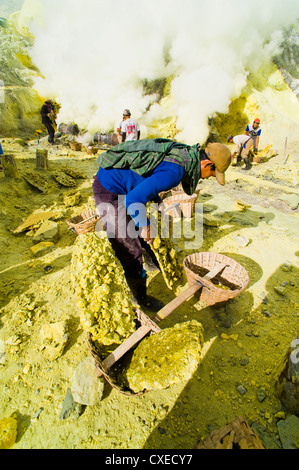 Mineur de soufre travaillant au Kawah Ijen, Java, Indonésie, Asie du Sud, Asie Banque D'Images