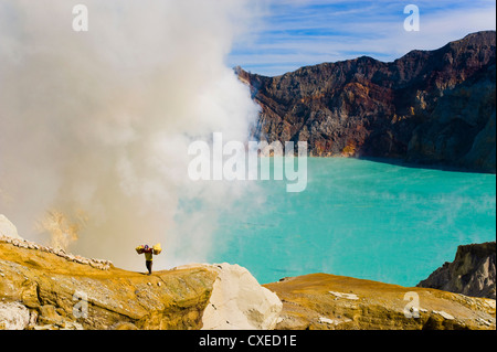 Travailleur soufre apparaissant hors de vapeurs toxiques au Kawah Ijen, Java Est, Indonésie, Asie du Sud, Asie Banque D'Images