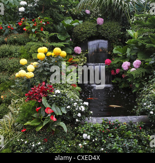 L'goldenfish dans fountain Banque D'Images