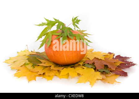 Potiron avec feuilles d'automne sur fond blanc Banque D'Images