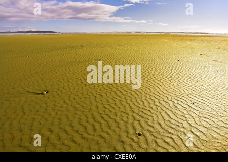 Immense océan beach sur l'île de Vancouver Banque D'Images