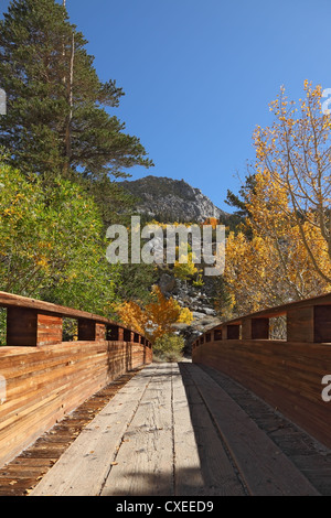 Un pont sur un ruisseau de montagne Banque D'Images