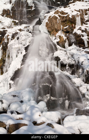 Chute d'eau gelée, Todtnauberg Forêt Noire, Allemagne Banque D'Images