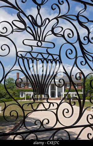 Style Antebellum Boone Hall Plantation près de Charleston, Caroline du Sud est inscrit sur le Registre National des Endroits Historiques. Banque D'Images