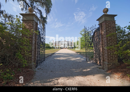 Style Antebellum Boone Hall Plantation près de Charleston, Caroline du Sud est inscrit sur le Registre National des Endroits Historiques. Banque D'Images