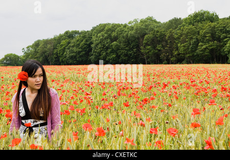 Pretty Woman in Wheatfield avec Poppy dans ses cheveux entouré de coquelicots Banque D'Images