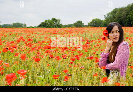 Jolie fille avec Poppy dans ses cheveux dans un champ de coquelicots Banque D'Images