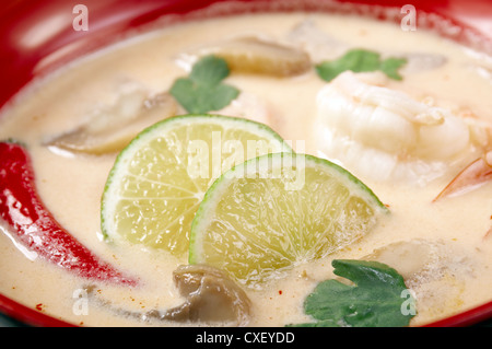 La soupe et la crevette dans l'eau de noix de coco Banque D'Images