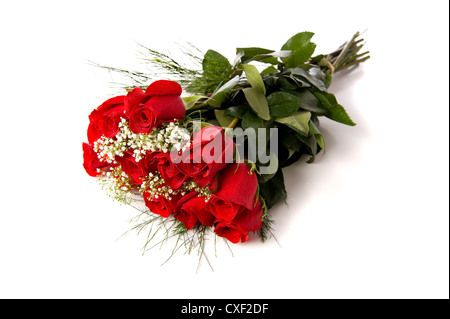 Bouquet de roses rouges sur fond blanc Banque D'Images