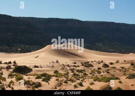 Réserver Coral pink sand dunes aux États-Unis. Banque D'Images