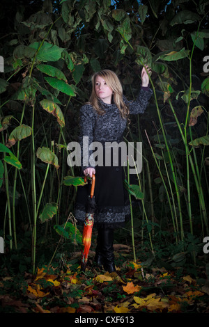 Fille marcher dans la forêt enchantée Banque D'Images