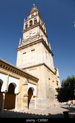 Torre del Alminar le clocher ou campanile de la cathédrale anciennement la Mezquita, la Grande Mosquée Cordoba Espagne Banque D'Images