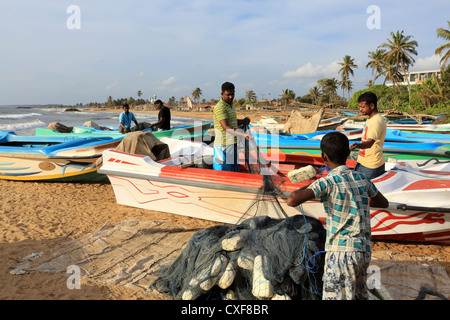 Sélection pêcheurs poisson hors de leur filet de pêche après une nuit de pêche. Plage de Negombo, Sri Lanka. Banque D'Images