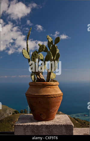 Cactus en pot de terre cuite avec vue sur la mer Banque D'Images