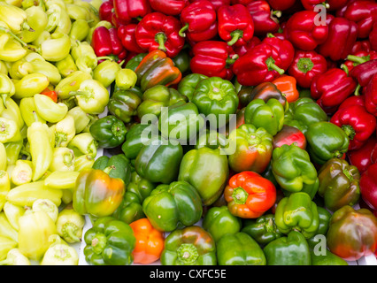 Poivrons mixte de couleur vert jaune rouge variété de légumes Banque D'Images