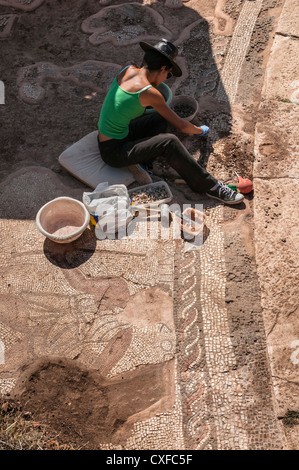 La restauration d'un archéologue à sol de mosaïque ancienne Messène (Ithomi), Messénie, Sud du Péloponnèse, Grèce Banque D'Images