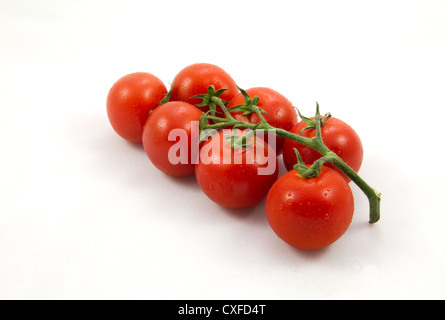 Vine tomatoes close up Banque D'Images
