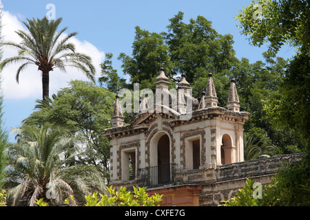 Jardins de l'Alcazar de Séville, Espagne Banque D'Images