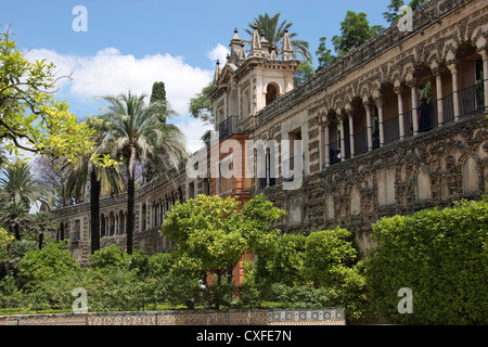 Jardins de l'Alcazar de Séville, Espagne Banque D'Images