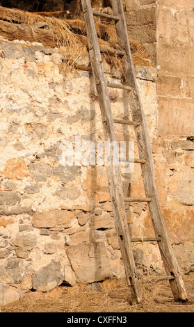 Une grange en pierre avec un grenier à foin et une échelle en bois. Libardon Colunga, Espagne. Banque D'Images