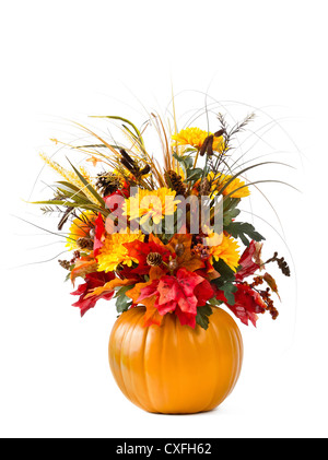 Arrangement de fleurs de citrouille Banque D'Images