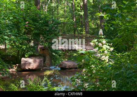 L'Arkansas, Hot Springs, Garvan Woodland Gardens, ADA accessible. Banque D'Images