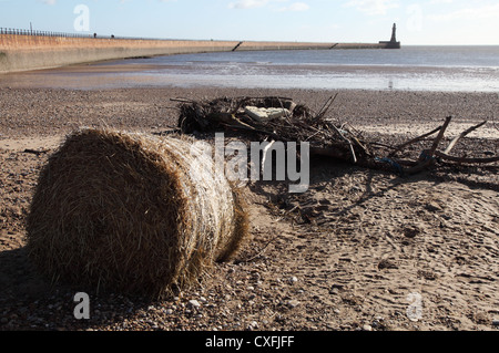 Driftwood et balles de foin sur le temps orageux suivants newgale, Angleterre du Nord-Est, Royaume-Uni Banque D'Images