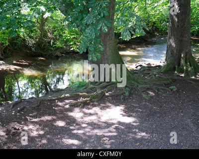 Angleterre worcestershire midlands vallée de la rivière arrow redditch Banque D'Images