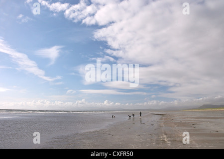 Plage de Harlech et Tremadog Bay dans le soleil d'été, Gwynedd, Pays de Galles, Royaume-Uni, Royaume-Uni, GO, Grande-Bretagne, British Isles, Europe Banque D'Images