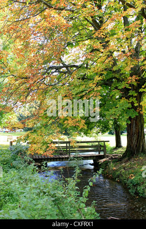 Le TILLING Bourne à Abinger Hammer près de Dorking Surrey England UK Banque D'Images